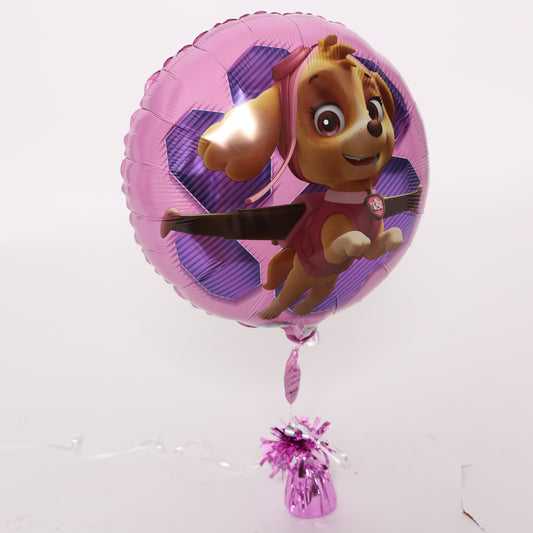 Paw Patrol Skye & Everest Balloon, 18in